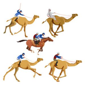camel-racing