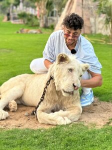 From 0 to 1.2 Million Followers: Unveiling the Journey of TikTok Success and Dubai Real Estate Domination Of Jordan Hisham 3 Jordan Hisham